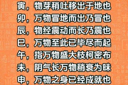 平地木命的含义与命理解析