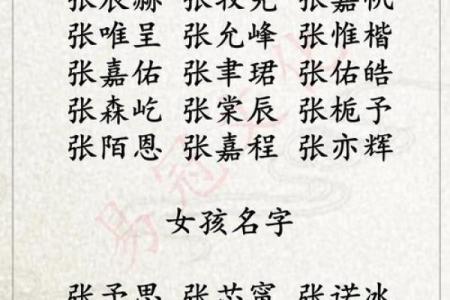 刘姓男孩名字的选择技巧与文化内涵