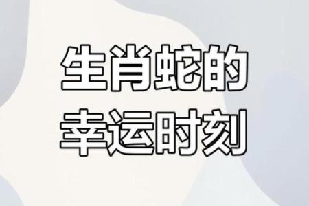 属蛇人的运势解析与财运吉凶分析