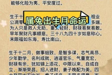 属兔人在的运势如何？全面解析事业与财富前景
