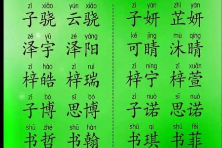 宝宝起名热词盘点