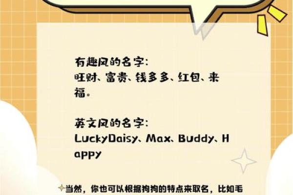 如何为你的狗狗挑选一个独特又有意义的名字 如何为你的狗狗挑选一个独特又有意义的名字