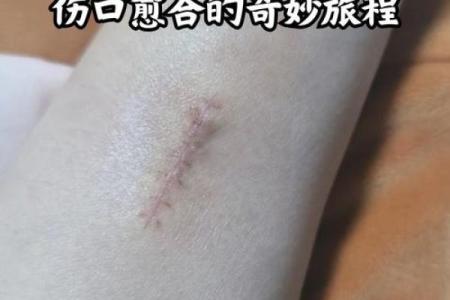 药物名字背后的科学：从发现到治疗的奇妙旅程
