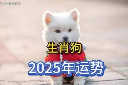 狗年运势解析及全年运程预测
