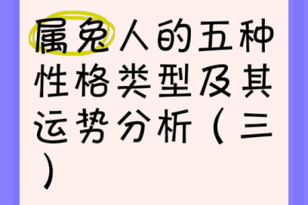 出生的人属兔，命理解析与运势揭秘