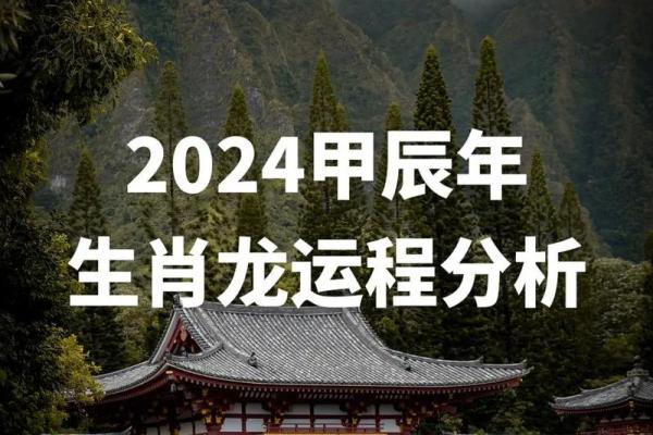 肖龙每月运程解析与建议