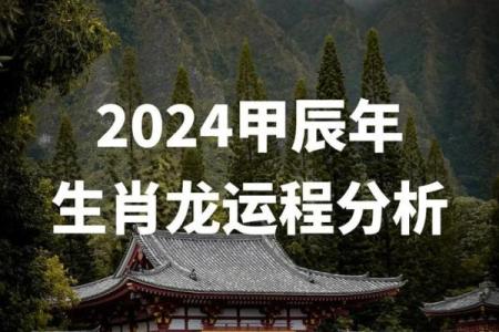 肖龙每月运程解析与建议