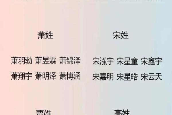 为何名字中的“带名”暗藏深刻含义