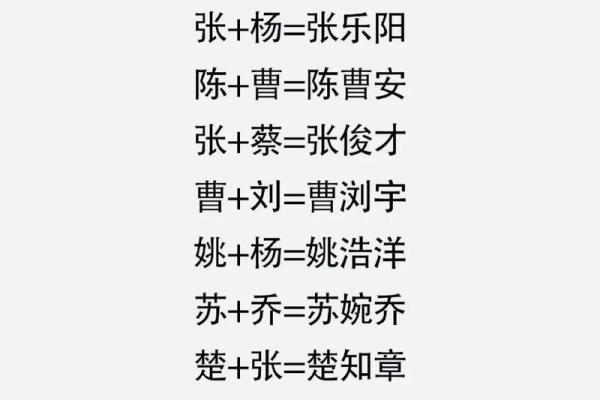 宝宝起名公司对孩子一生运势的深远影响 宝宝起名公司对孩子一生运势的深远影响