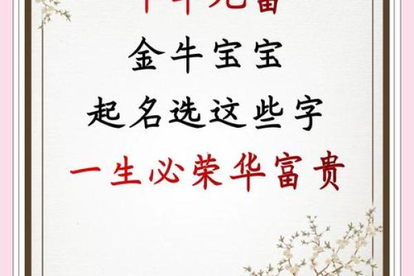 宝宝起名公司对孩子一生运势的深远影响 宝宝起名公司对孩子一生运势的深远影响