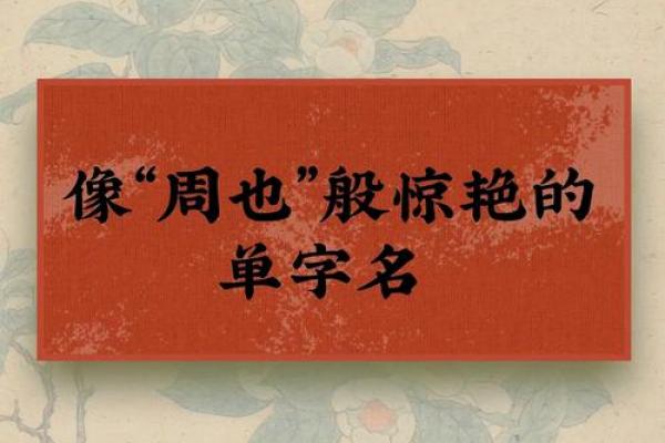 从古至今,单字名字的流行与传承 从古至今,单字名字的流行与传承