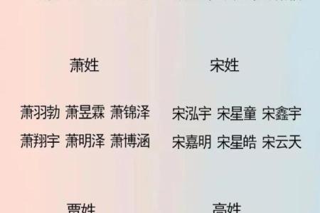 为何名字中的“带名”暗藏深刻含义
