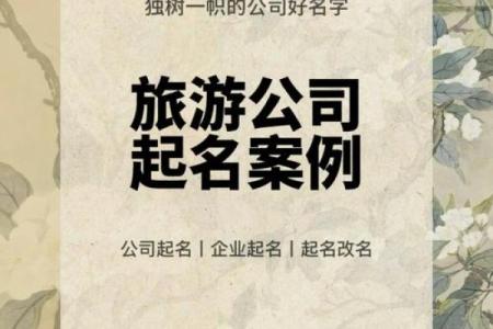 旅游公司创意起名指南：打造独特品牌的技巧