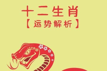 兔生肖运势揭秘：财富、事业与感情的变化