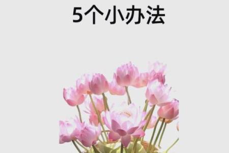 风水财位提升财运的五个关键技巧