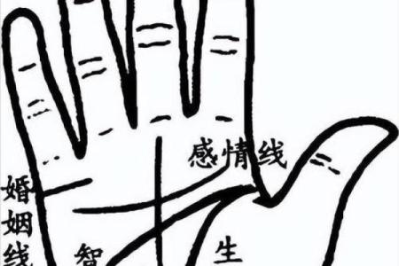 如何通过指纹判断你的财富命运
