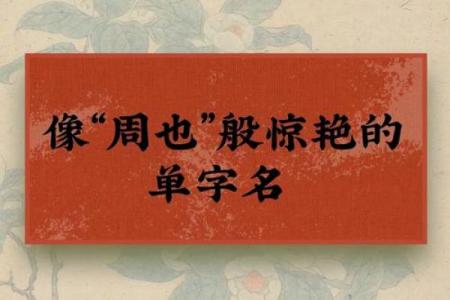 从古至今，单字名字的流行与传承