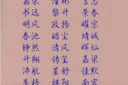 中华起名网，专业姓名学分析让你的小宝贝与众不同