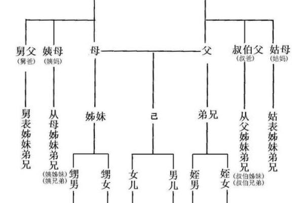 从名字看家族血脉与传统继承 从名字看家族血脉与传统继承
