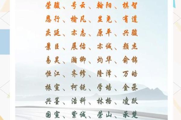 打造一个富有个性的刘男孩名字