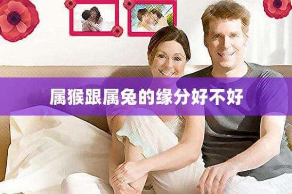 属猴和属兔的匹配度分析:两者关系如何? 属猴和属兔的匹配度分析:两者关系如何?