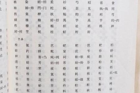 五行属木的特点与生活中的应用解析