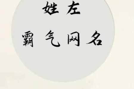 如何用左名字提升个人的独特气质