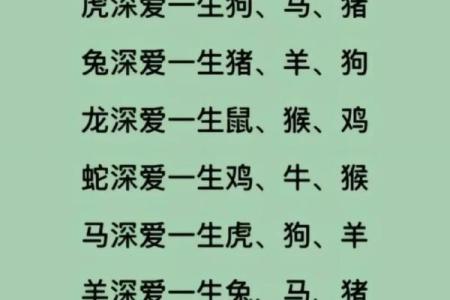 女兔男虎婚姻是否相配？揭秘十二生肖婚配的真相