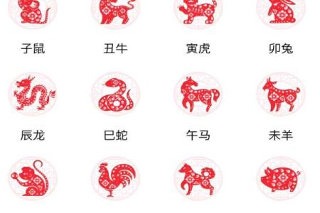 本周生肖运势走势：各个生肖的运程变化