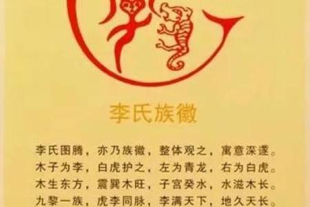 从名字看家族血脉与传统继承