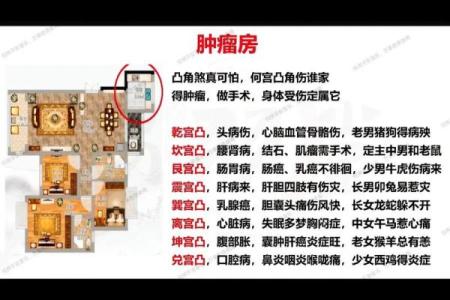 如何通过风水改善江北家居环境