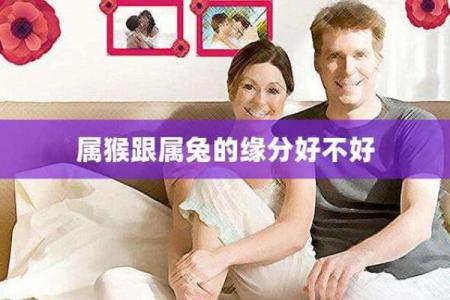 属猴和属兔的匹配度分析：两者关系如何？