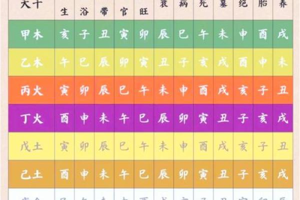 出生的人属什么命及其命运解析