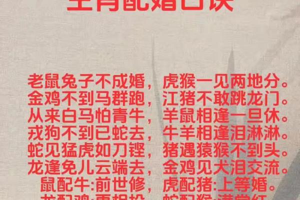 牛兔配对:两种性格能走到一起吗? 牛兔配对:两种性格能走到一起吗?