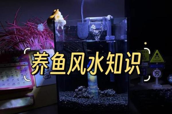 猴年办公室风水:提升事业运的实用建议 猴年办公室风水:提升事业运的实用建议