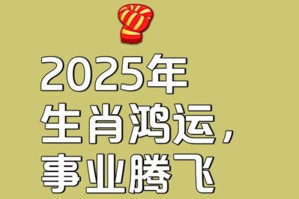 肖猪运程展望：事业飞跃与感情波动的平衡之道