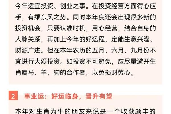 兔年属牛的事业与财运发展趋势