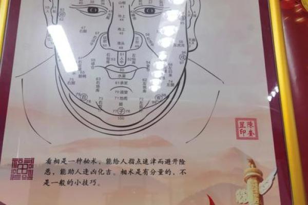 提升财运从秦老师讲解风水财位开始 提升财运从秦老师讲解风水财位开始