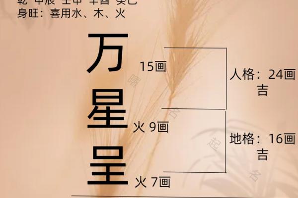 根据五行八字为新生儿取名,命理专家的建议 根据五行八字为新生儿取名,命理专家的建议