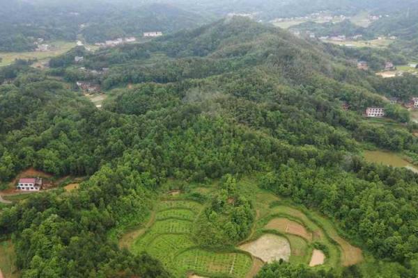 选择风水壁纸,让家居风水更旺盛 选择风水壁纸,让家居风水更旺盛