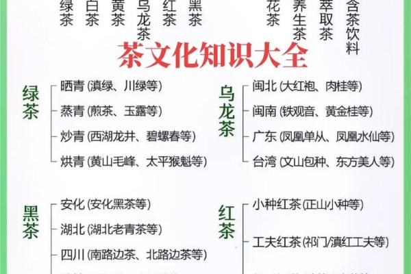 茶名称全解析 提升茶文化体验的十大精选茶品