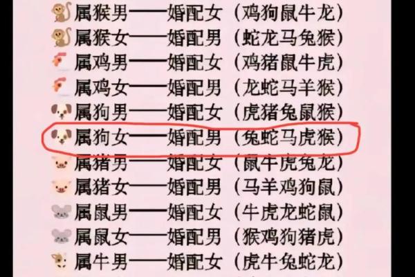 属虎男和属狗女的性格契合与挑战 属虎男和属狗女的性格契合与挑战