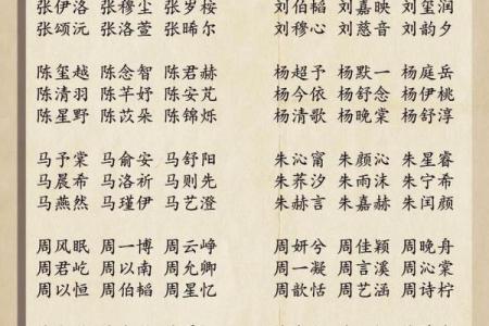 探索石家庄起名公司：如何为新生儿起个有寓意的名字