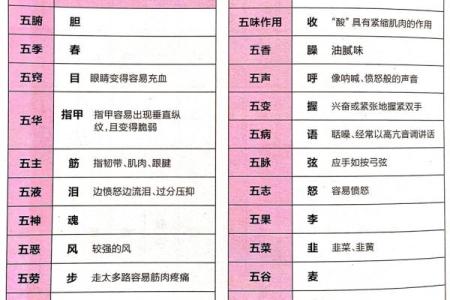 五行表的深度解析与应用方法