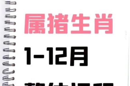 猪年出生者在的幸运与挑战