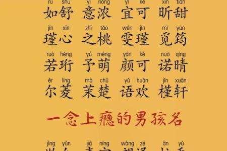 宝宝女孩名字精选大全，打造独特温馨的姓名选择