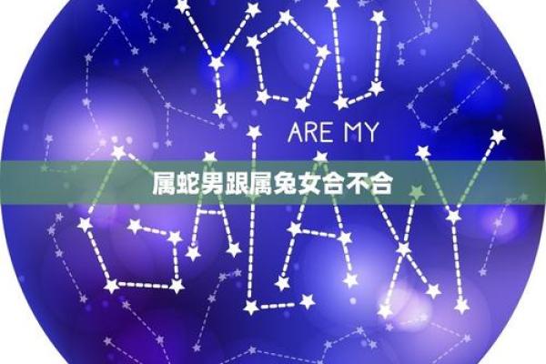 属蛇女和属兔男在感情中的相处之道 属蛇女和属兔男在感情中的相处之道