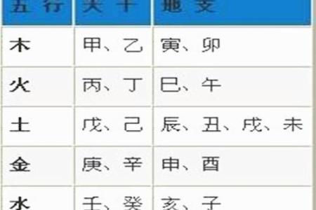 地支五行对照表解析与应用指南