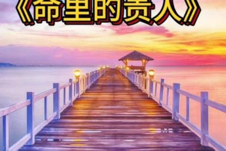 贵人命的背后：命运与机会的奇妙交汇