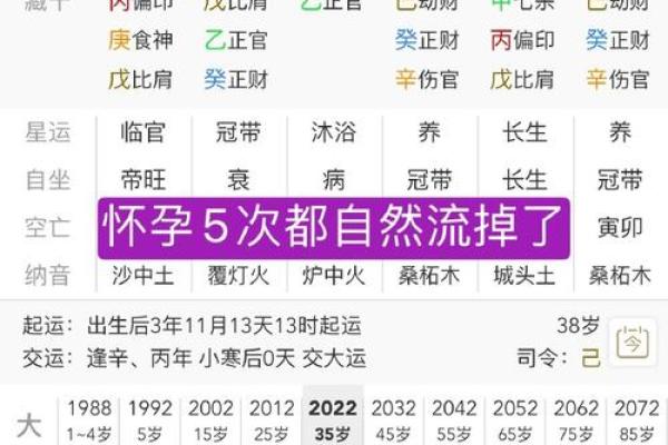 通过八字分析母亲的性格与命运,揭示深层关系玄机 通过八字分析母亲的性格与命运,揭示深层关系玄机
